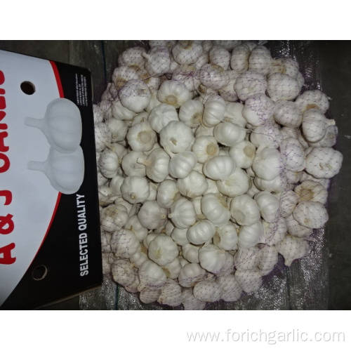 Fresh New Crop Pure White Garlic